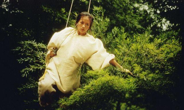 卧虎藏龙侠情悲剧