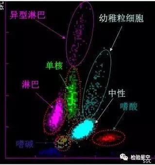 一文读懂白细胞散点图
