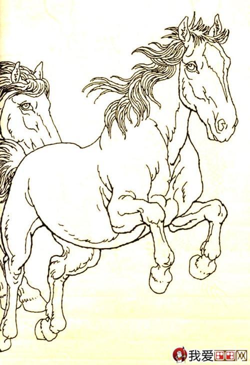 马素描简笔画大图