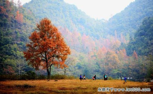 12月22-23日德保巴头枫叶,小西湖,红枫湖,骑矮马摄影休闲2日游