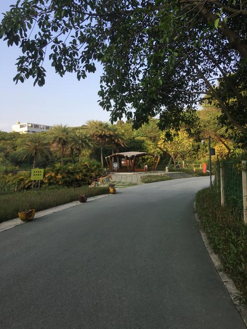徒步|龙华环城绿道(大水坑段)_徒步_星空_龙华环城绿道(大水坑段)攻略