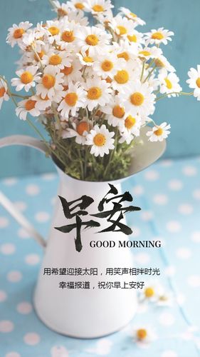 简约唯美早安日签早安问候祝福海报