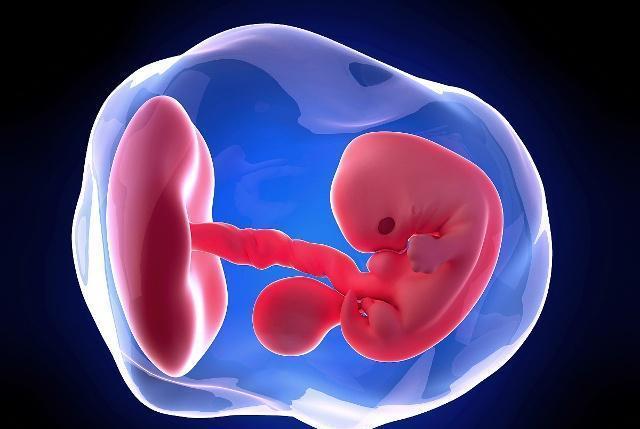 怀孕50天的孕囊,能根据b超单看出胎宝宝性别吗?_女人_时候_椭圆形