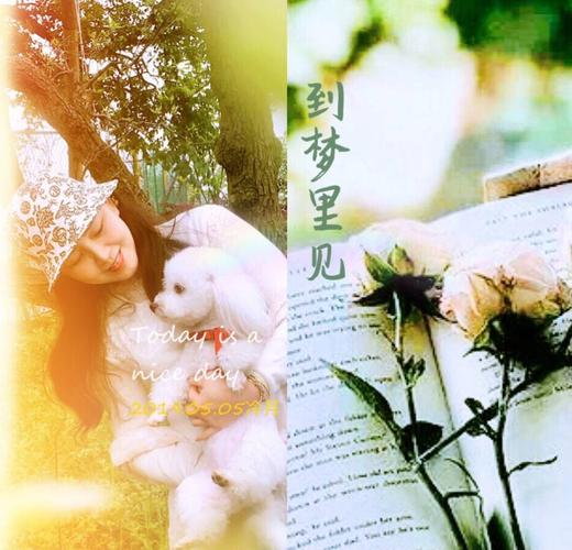 到梦里见你