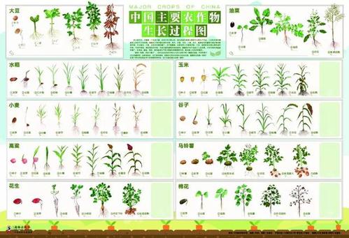 截图| 孩子常识必备的24节气绘本!附赠自然观察笔记!