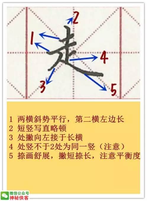史上最强硬笔偏旁部首教程动态图