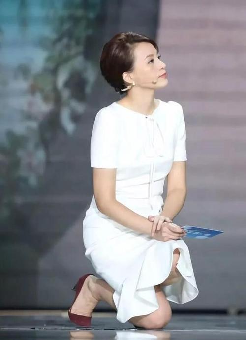 女星气质写真董卿