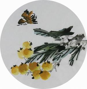 国画花鸟团扇圆形小品枇杷饰画新品直径33i061060无款手绘字画装