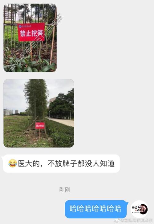 福建医科大学校园里放置了禁止挖笋告示牌