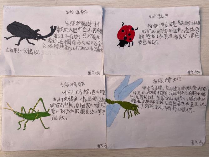 昆虫备忘录～302班