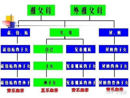 近亲(或称亲缘关系)是指三代或三代以内有共同的血缘关系.