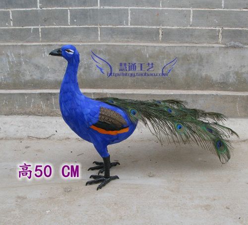 仿真孔雀仿真白孔雀 蓝孔雀鸟动物标本橱窗店铺酒店