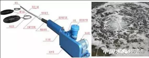 【养殖天地】高温季节高效利用增氧机方法大全