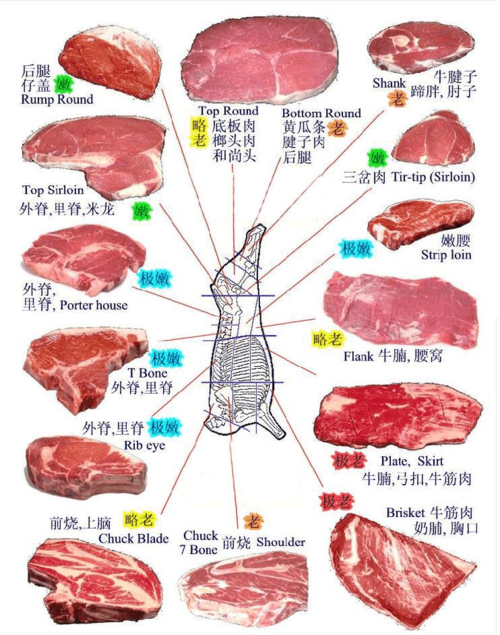 牛肉的不同部位