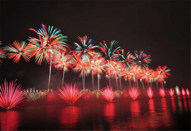 花炮文化节上绚丽绽放的浏阳花炮