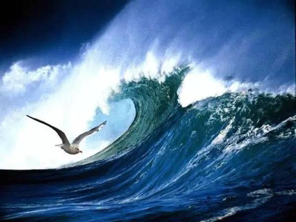 【思享者】现世安稳,请不要忘了死在暴风雨中的海燕!