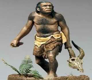 现代猿猴为何进化不成人了?网友:达尔文进化论受到了挑战?