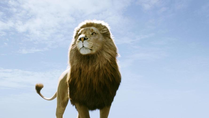 谁把这几张纳尼亚传奇的壁纸改成苹果4s分辨率的壁纸