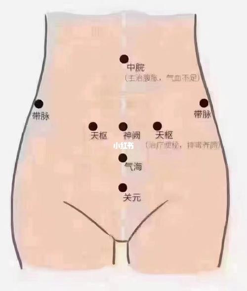 1,肚脐以上突出是脾虚