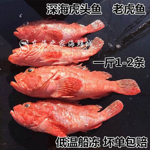 秘鲁普黑水虎鱼价格-秘鲁读音多少钱- qq七彩网