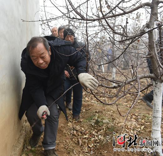对话李保国:干事成事是我最大的享受