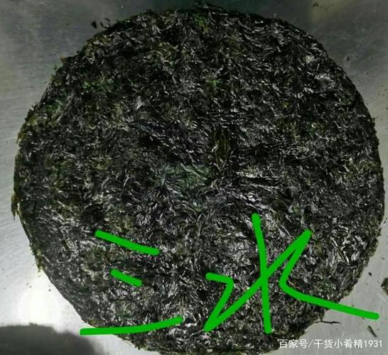 我本生大海,带着美味来,从小随波逐,大名叫紫菜,创业