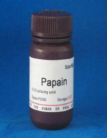 papain 木瓜蛋白酶