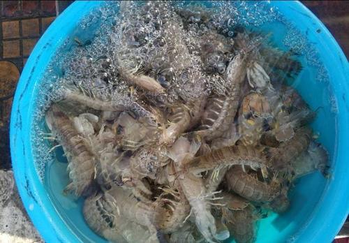 汕尾马宫港游玩,来了就知道海鲜比猪肉更实惠