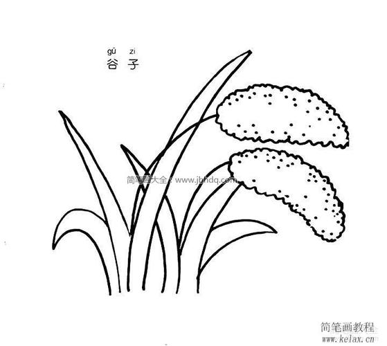 谷子简笔画图片