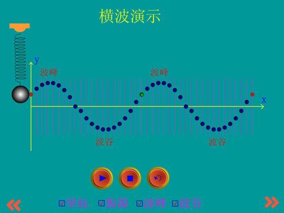 纵波的质点可以随波迁移,而横波