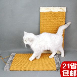 > 猫抓板潮牌