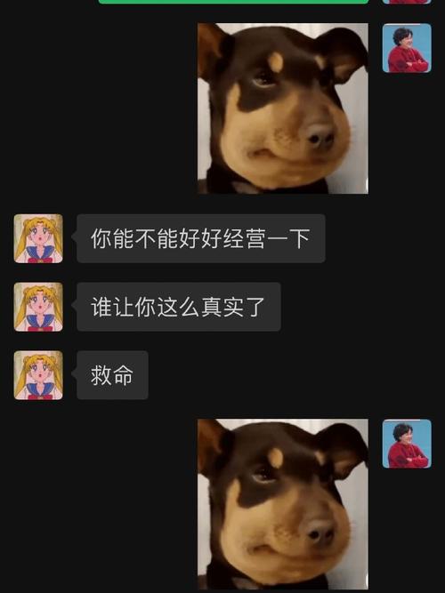 搞笑美女如何得到爱 