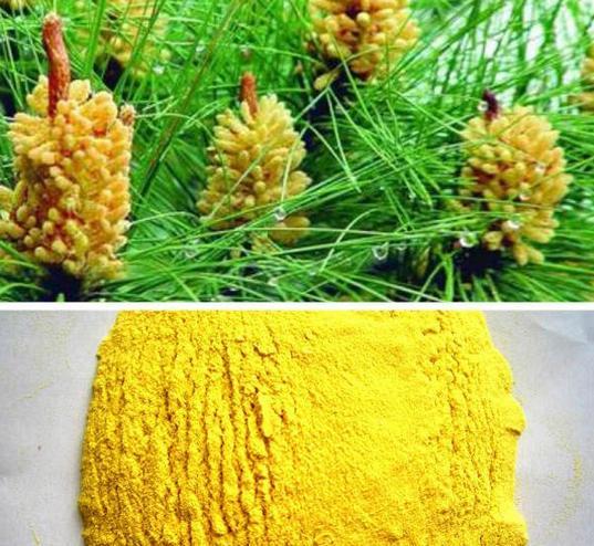 花粉pm2.5隔离防护喷雾口罩怎么样?