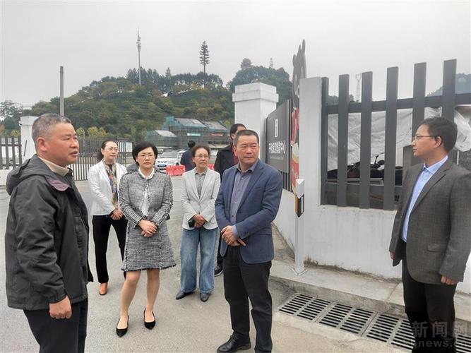 开化组织开展2020年人大建议,政协提案办理工作"回头看"活动