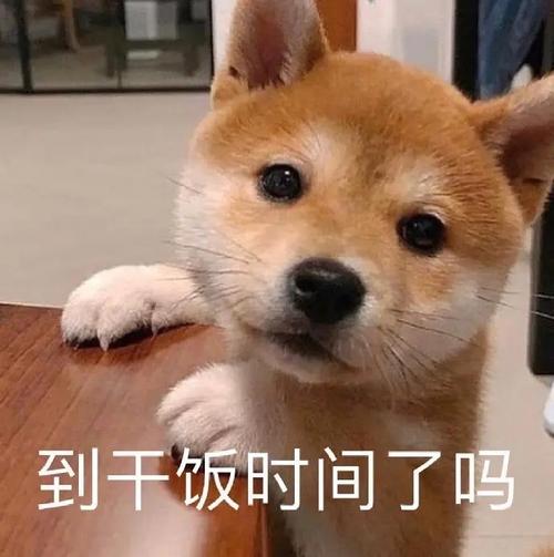 好想吃凉皮啊啊啊啊