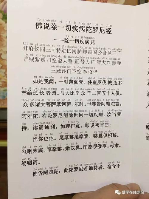 佛说除一切疾病陀罗尼经32开简体拼音横排版