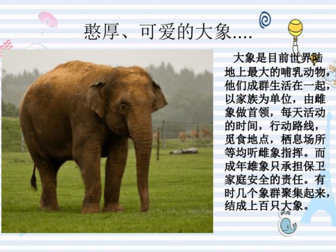 少儿美术教学课件幻彩大象.pdf 10页