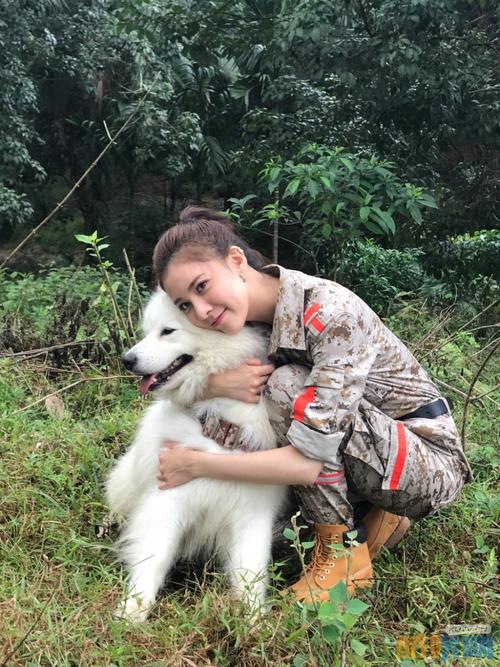 神犬小七第三季女主安心是谁扮演的   神犬小七第三季安心扮演者