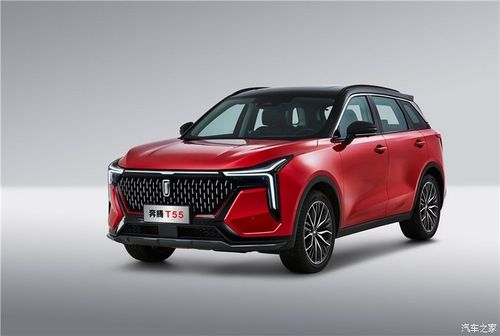 一汽奔腾,挚心关怀