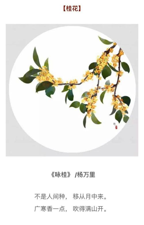 移从月中来;广寒香一点,吹得满山开"----南宋·杨万里《咏桂》
