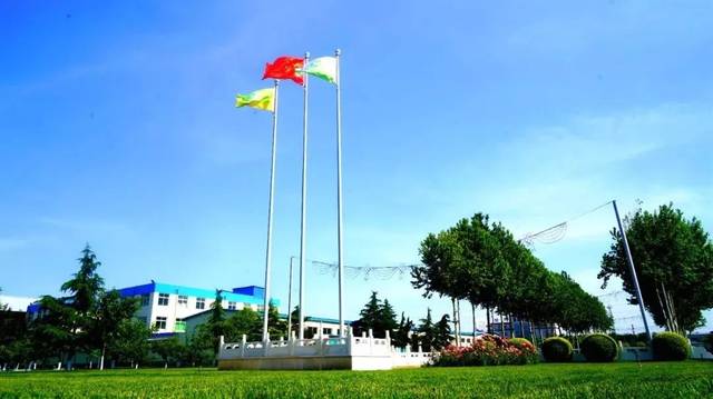 我在中国的一角——看金沙河