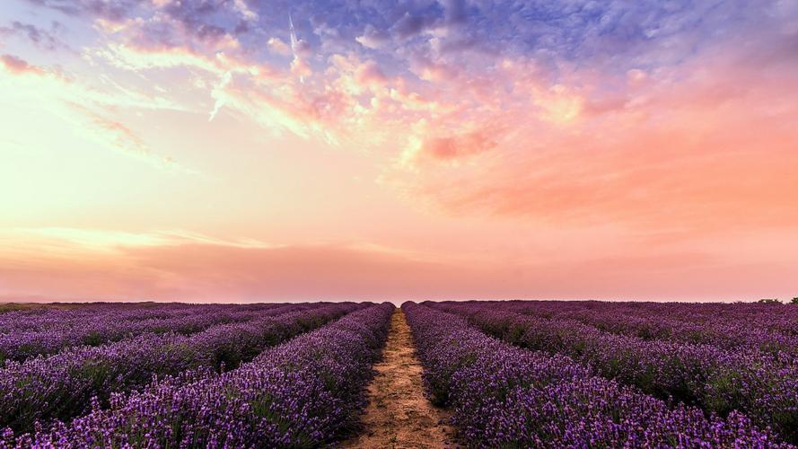 如诗如画的风景图片-风景壁纸-高清风景图片-第3图