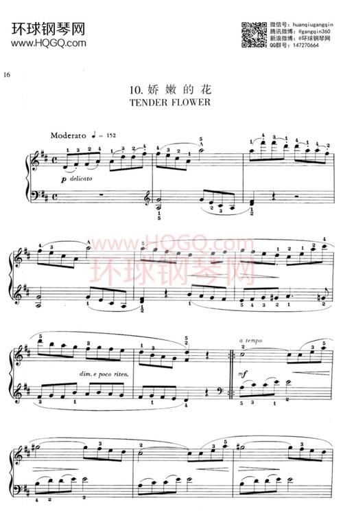 娇嫩的花钢琴谱-环球钢琴网