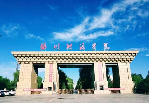 你好我是银川能源学院