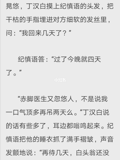 丁汉白和纪慎语番外