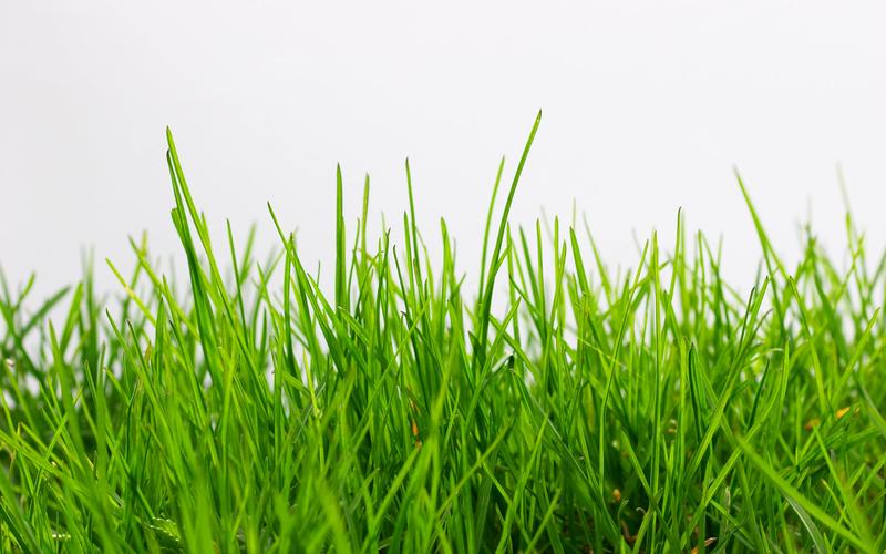 listing ownership: whose grass is it anyways?