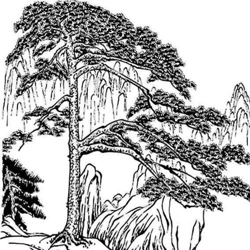 迎客松简笔画素材(2)