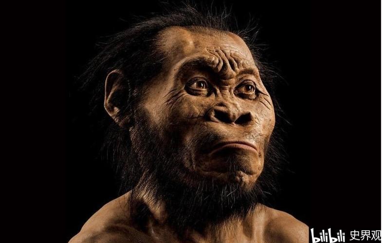 朱绍侯中国古代史第1章中国原始社会第2章夏商时期奴隶制国家的建立