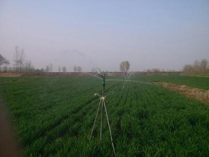 小麦 浇灌 农场秀 设施农业 灌溉 漫灌 滴灌 喷灌 河南 举报 人生几何