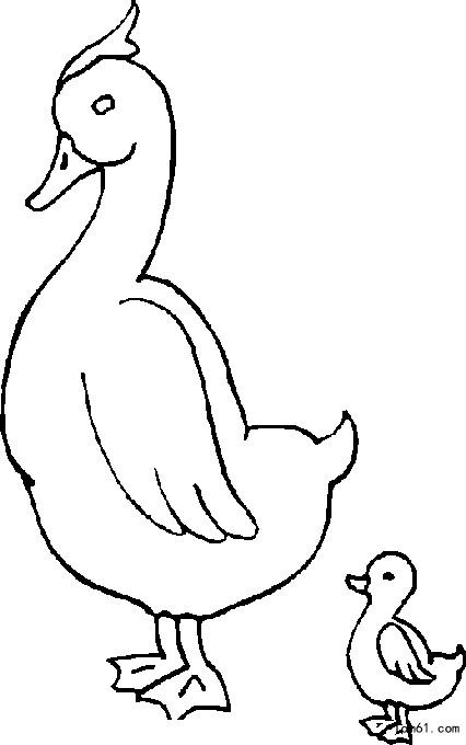 鸭-简笔画图片-儿童资源网手机版